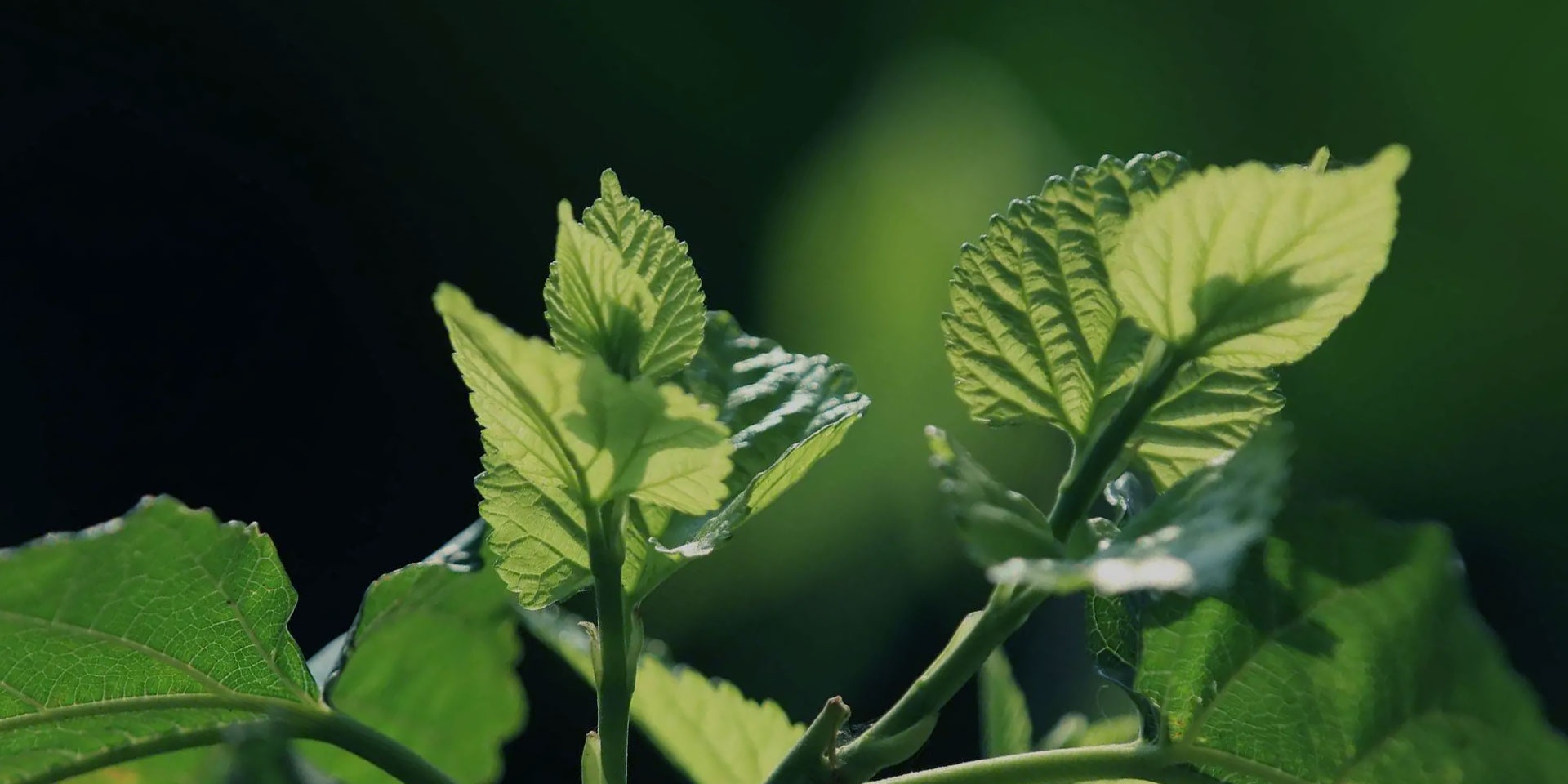 AG8亚洲游戏国际集团·(中国)官方网站